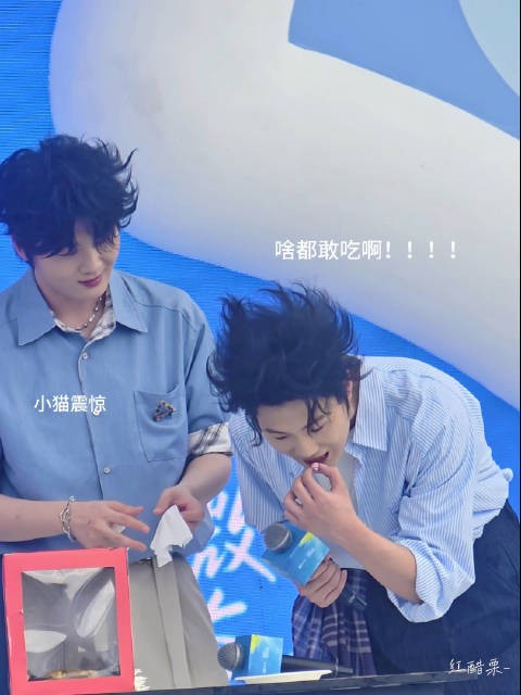 小狗你不可以吃玻璃珠！