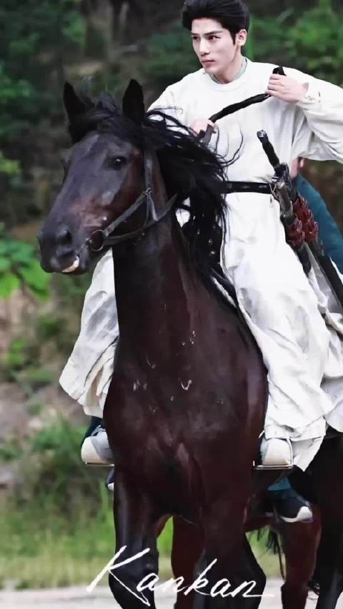 小陆大人完全鲜衣怒马少年时王安宇﻿陆轻舸 （cr.logo）