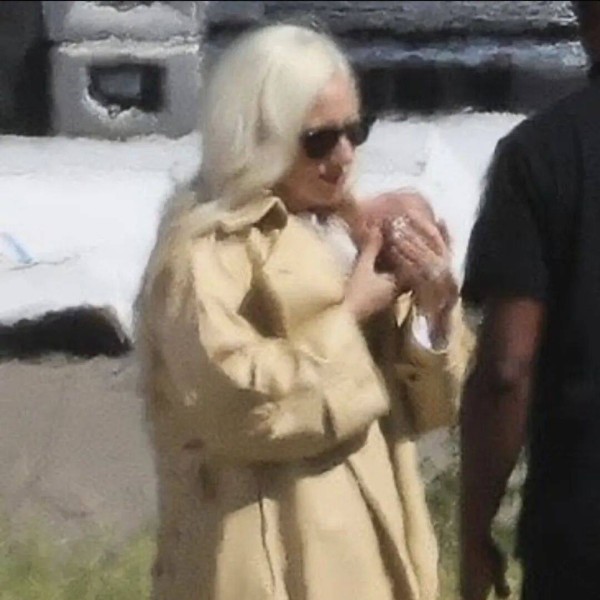 Lady Gaga 据说三个月前就生了！