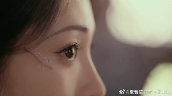 楚锦还为伤疤苦恼？宋文昌给出完美对策，画出琼花遮掩