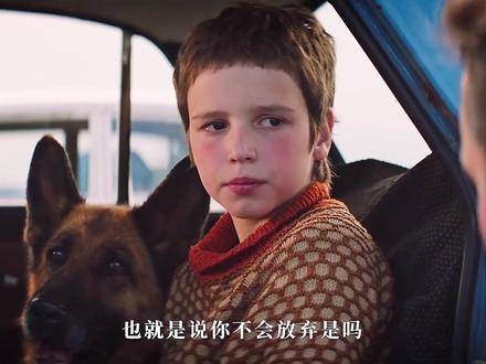 帕尔玛在终幕恍然惊觉：朝夕相伴的主人竟如此疏离！看忠犬帕尔玛前后对比