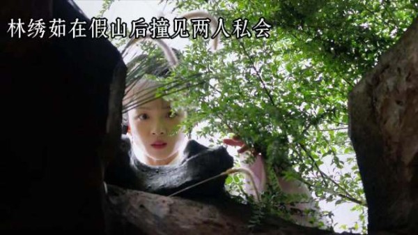 林绣茹替姐出嫁侯府，靠自己逆袭成候府主母，把家产全留给了自己女儿！