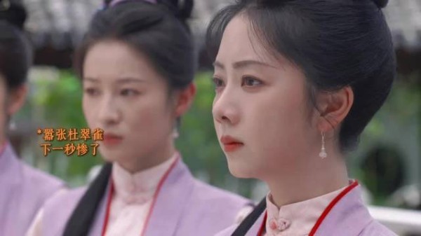 杜翠雀这回知道为什么大太太看不上你的吧,一点比不上兰香啊