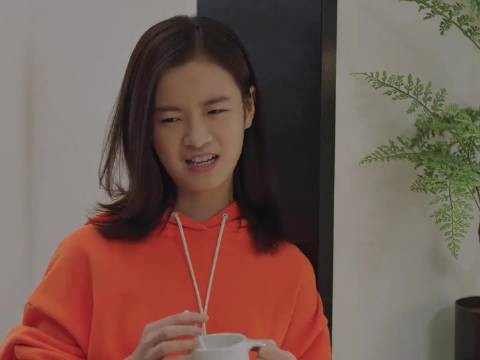 小欢喜 电视剧解说