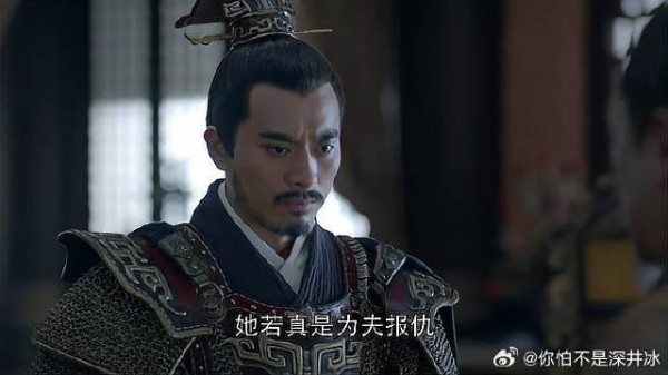 梅长苏回到苏宅便再也支撑不住,大口地吐出鲜血!