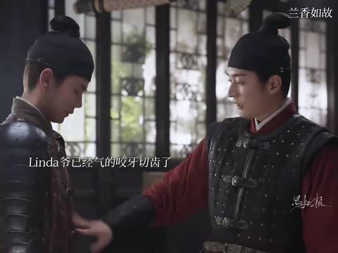 九皋给Linda爷帮倒忙了 !兰香如故