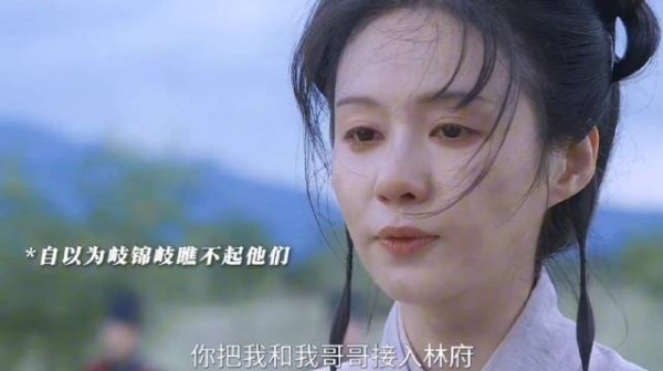 杜翠雀还不知道悔过怪林锦岐不肯娶自己，杜翠雀恨上林家还会回来的！