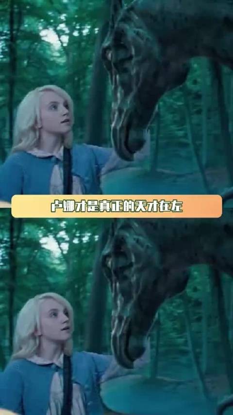 卢娜才是真正的天才在左疯子在右吧