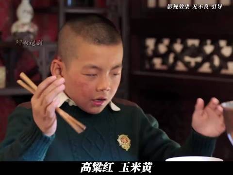 六子把杨景镇气趴后，张作霖只能重新另请高明，不料老师竟然这样 少帅