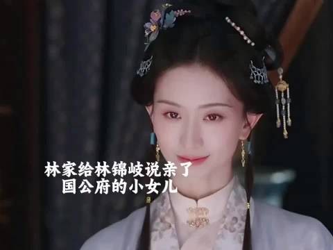 国公府小姐一眼就看上了林锦岐，可惜林锦岐都没有正眼看过他