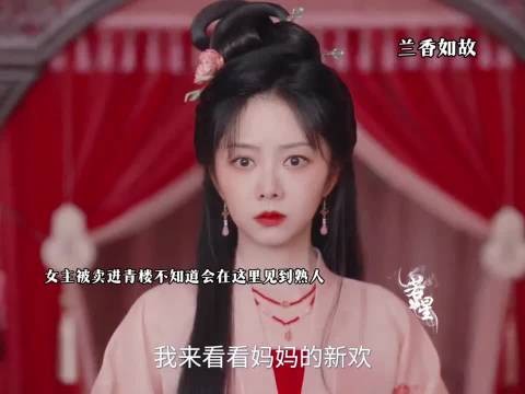 被卖入青楼却遇到老熟人帮忙 ,兰香如故
