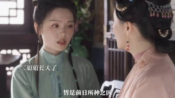 二姐姐这一刻长大了,自己种下的因自食其果