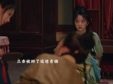 郑蔓宜杜翠雀联手动刀,兰香再陷危机