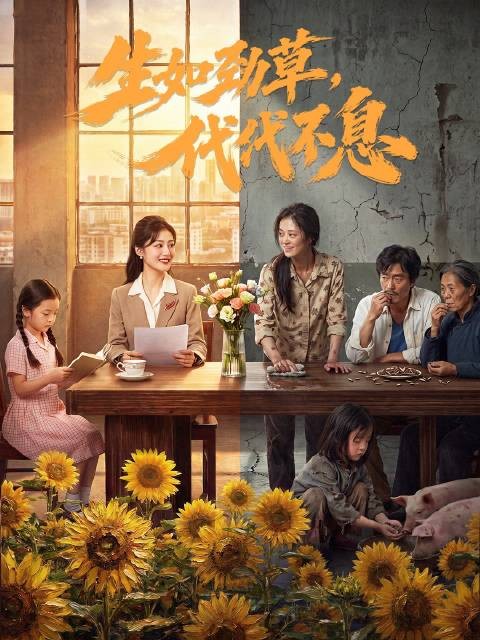 林青萍反家暴离婚创家具厂，母女接力传承女性自立