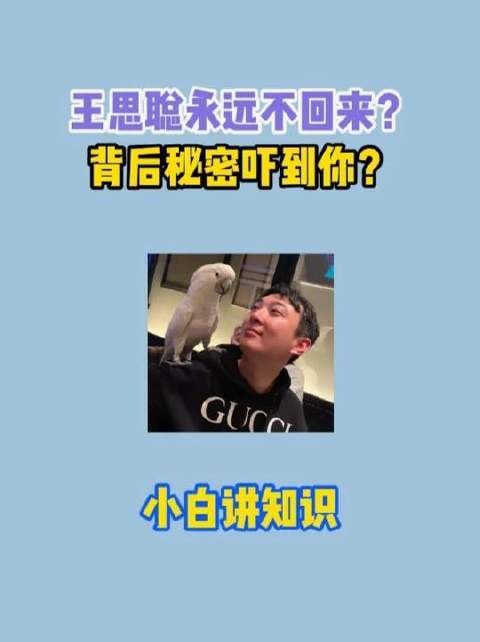 震撼揭晓!王思聪为何始终未归?隐情令人瞠目!