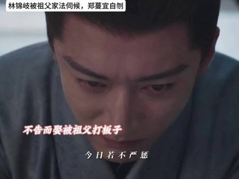 林锦岐被祖父责罚,救了太子在皇帝驾崩前回来!郑蔓宜自刎当场!