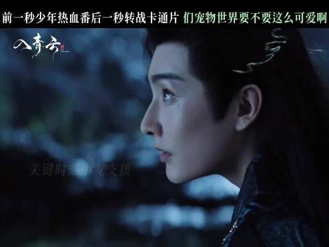 俺们猫猫龙龙的世界就是不一样