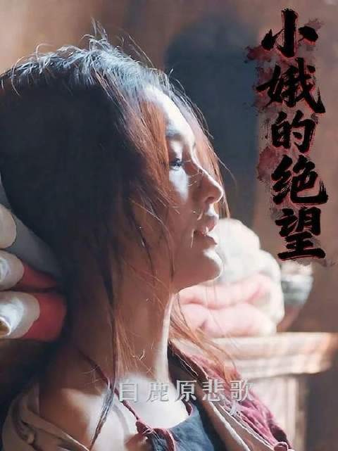 面对小娥的苦苦哀求，黑娃再一次抛下了她，可怜的女人！