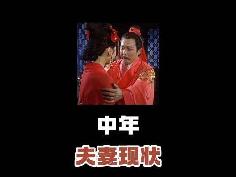 中年伴侣的日常图景 三国