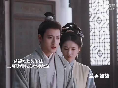 兰香如故林家兄妹团结一幕,装病救哥哥家味满分