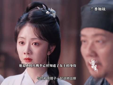 陆先生就这样为女主撑腰