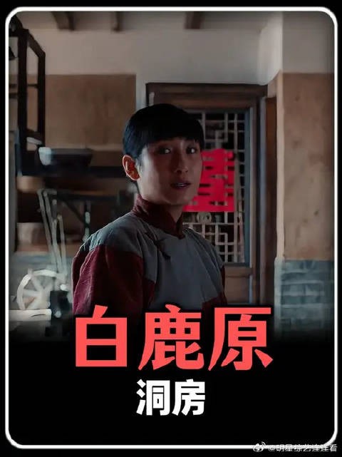 朱先生只用了一个谎言，就解开了白嘉轩的心结