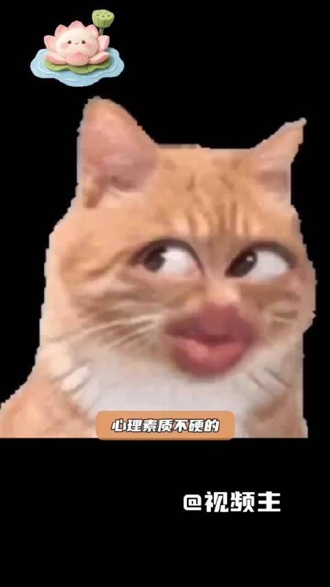 陈翔自嘲改名方廷皓,搬出经典角色救场
