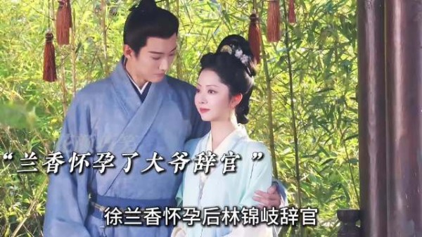许兰香怀孕林锦岐辞官,助林秀茹和离掌侯府