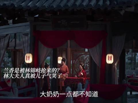 林大夫人真被儿子气笑了