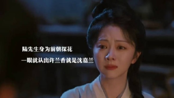 陆宗白认出兰香是沈嘉兰,兰香又获撑腰