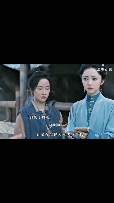 兰香终于找到了戢儿,林锦岐开启追妻模式