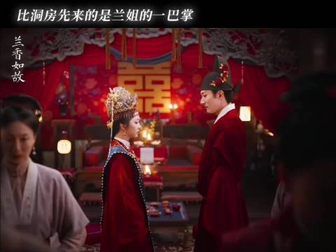 许兰香大婚扇林锦岐巴掌，后改观生下一女一儿