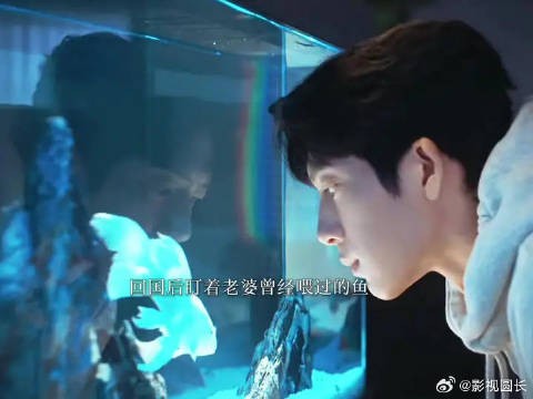 栾念，你老婆不要你了
