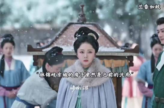 林锦岐在京城的房子竟然是之前的沈府,赵星棠拿戢儿的身契威胁兰香
