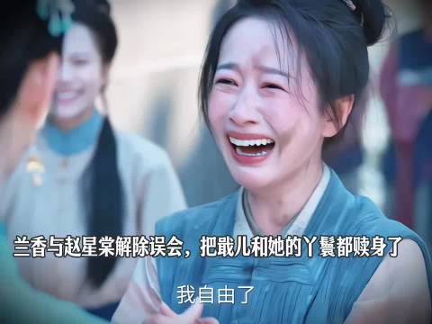 兰香赵星棠为蕺儿赎身，林锦岐出手教训渣男妹夫
