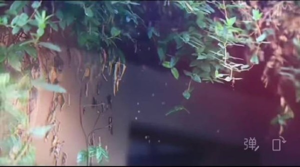 魏大勋粉丝今天过节，霸总节拍游刃有余
