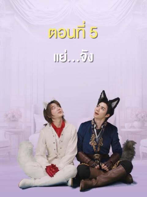 高颜值美女出镜精彩合集·VOL.31