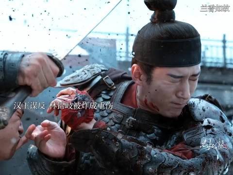 许兰香闯芦苇荡寻重伤林锦岐，烧毁证据