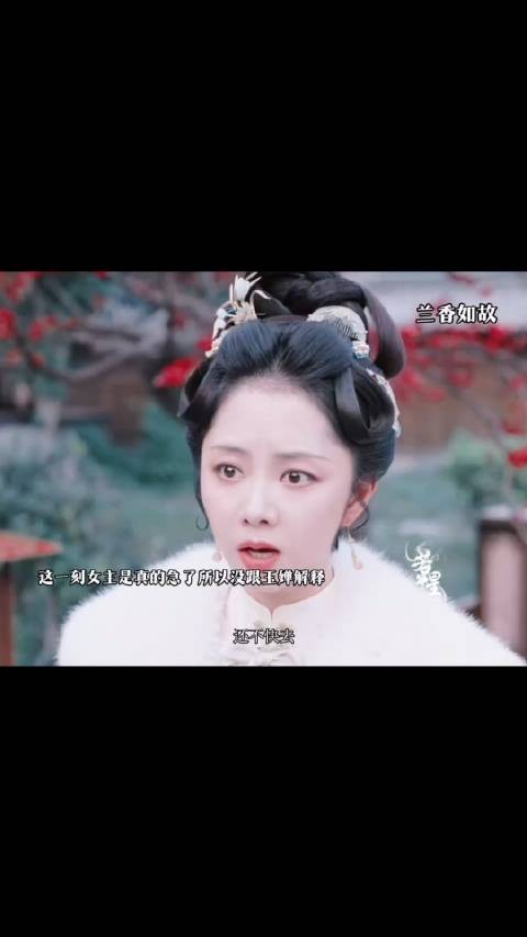 这一刻她真的急了都凶了玉婵