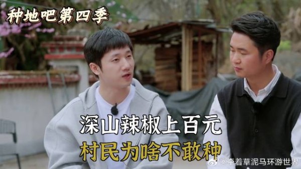 深山辣椒上百元，村民为啥不敢种