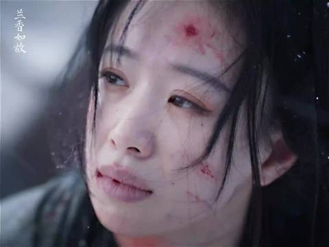 赵星棠有什么错，只想多赚钱，爱的人背叛她，父兄抛弃她…