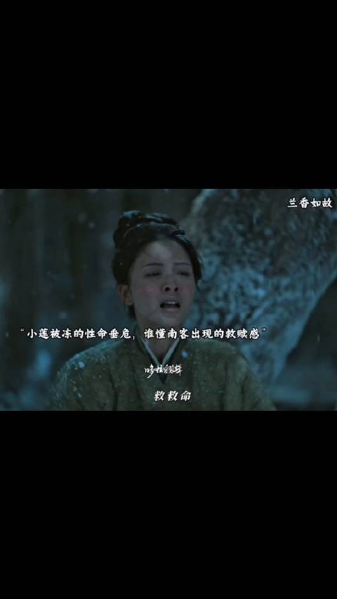 小莲被马夫丢弃，南客救了她