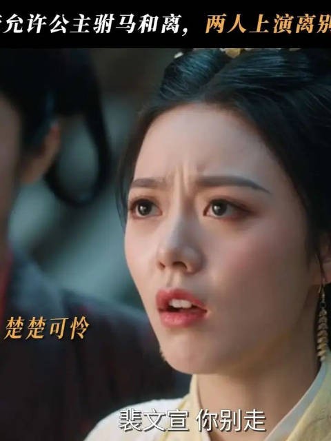 公主驸马上演和离大戏！