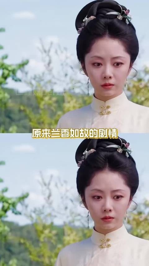 剧情形成闭环了