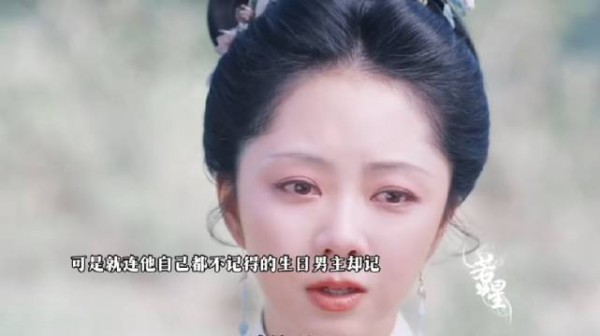 太痛了!兰香自己都忘了嘉兰的生日,林锦岐却记得