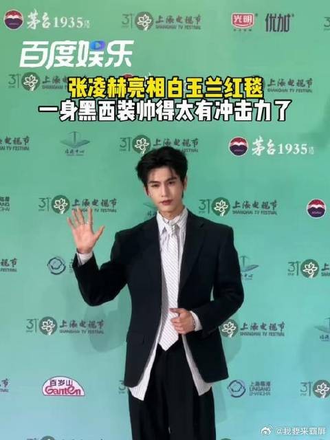 张凌赫亮相白玉兰颁奖典礼红毯,一身黑西装帅出新高度,权威两字不必多说!