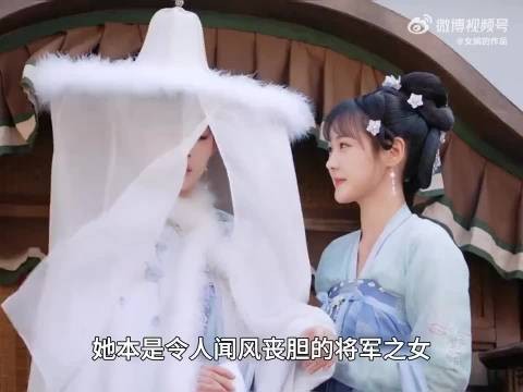 花琉璃本是令人闻风丧胆的将军之女,却偏偏扮猪吃老虎