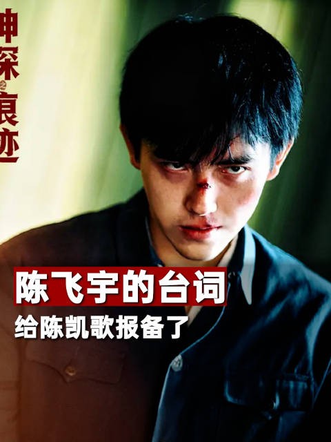 陈飞宇的台词给陈凯歌报备了