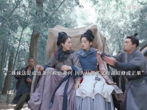 这个杜翠雀怎么逮着二妹妹薅啊,孽缘来的吧!