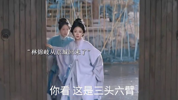 林锦岐从京城辞官回金陵了 兰香如故